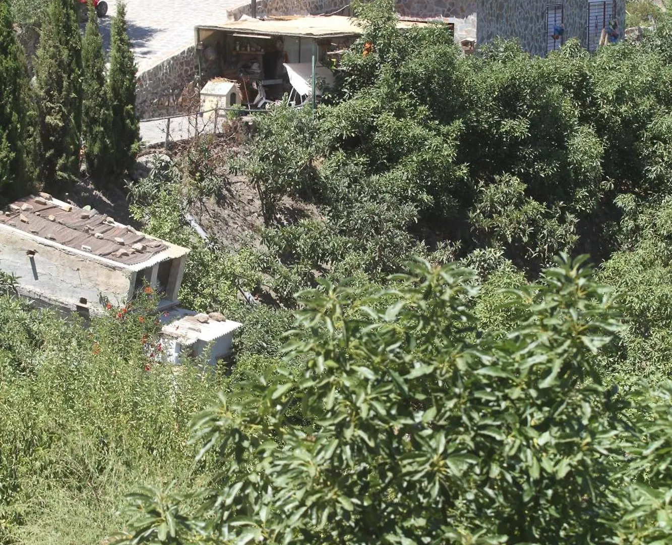 Casa Luxury Madera En Las Montanas De Torrox Malaga